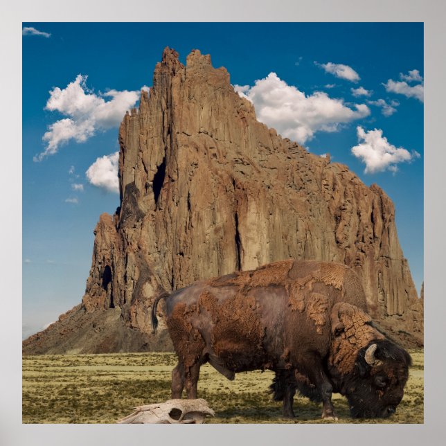 Poster Open Country (Frente)