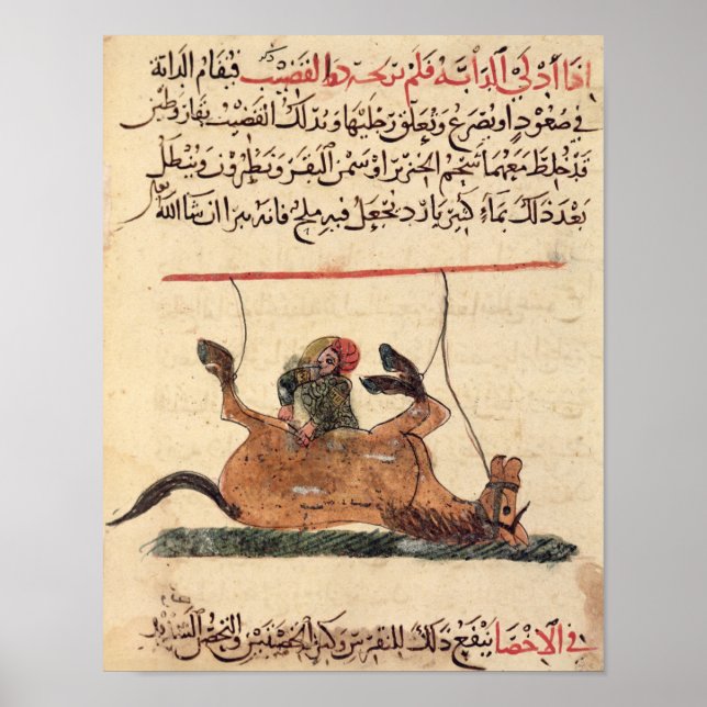 Pôster Operação a cavalo, ilustração (Frente)