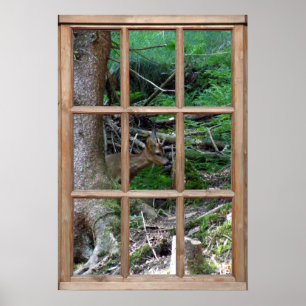Pôster Opinião da floresta de uma janela