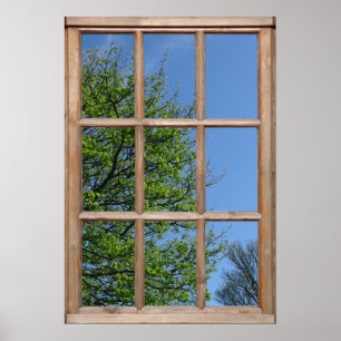 Poster Opinião de árvore frondosa de uma janela