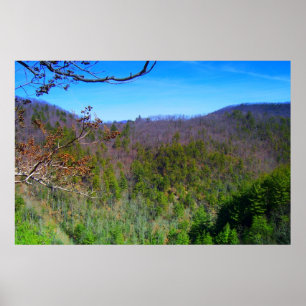 Pôster Opinião de Blue Ridge Mountains