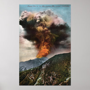 Poster Opinião do incêndio florestal nas montanhas