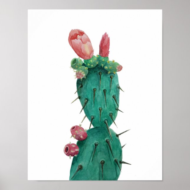 Pôster Opuntia nas aquarelas (Frente)