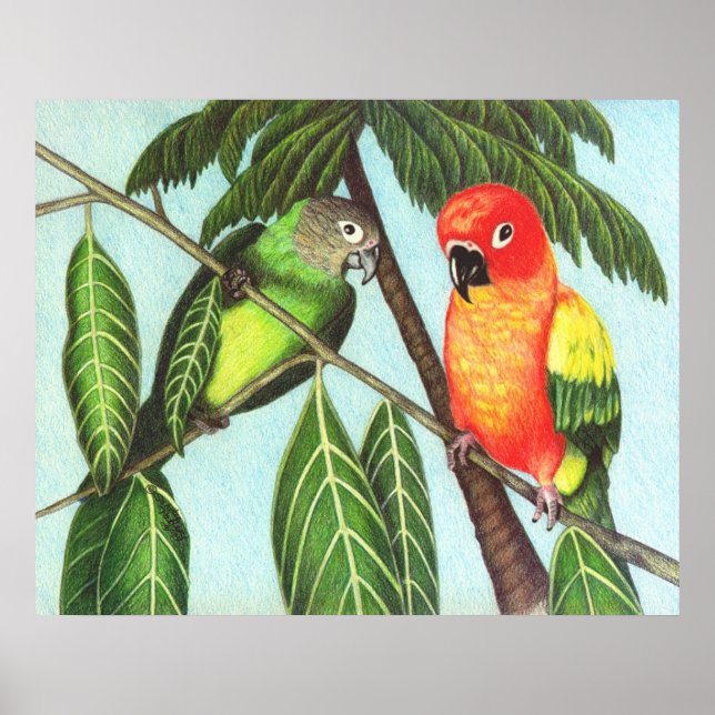 Pôster Opus and Monster (Frente)