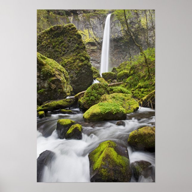 Poster OR, Desfiladeiro do Rio Columbia, Elowah Falls e (Frente)