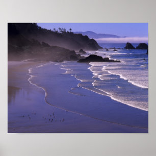 Poster OR, Oregon Coast, Ecola SP, Indian Beach com