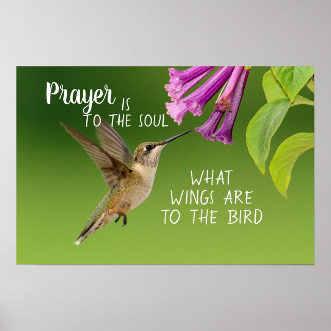 Poster Oração do Beija-flor é para a Alma (Frente)