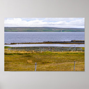 Poster Oral de Ordenação de Ovinos por um fiorde, Islâ