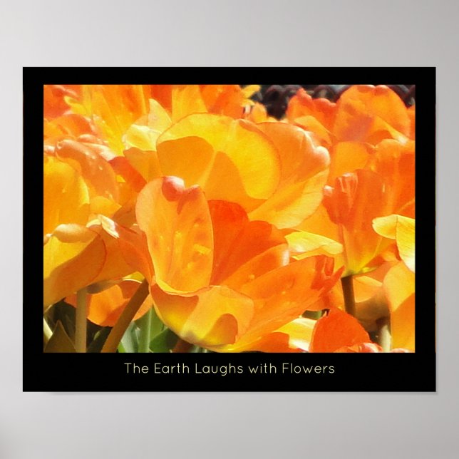 Poster Orange and Yellow Tulips Earth Laughs with Flower (Frente)