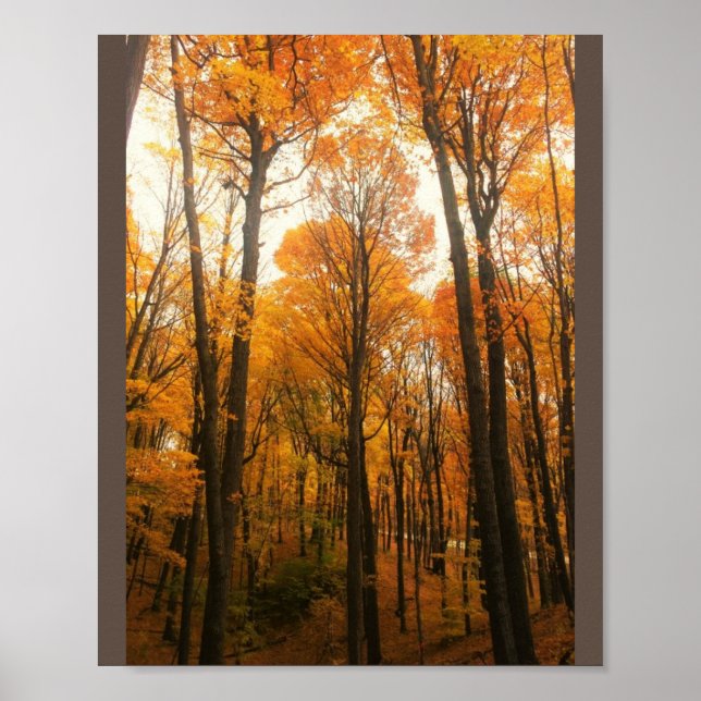 Poster Orange Autumn Forest (Frente)