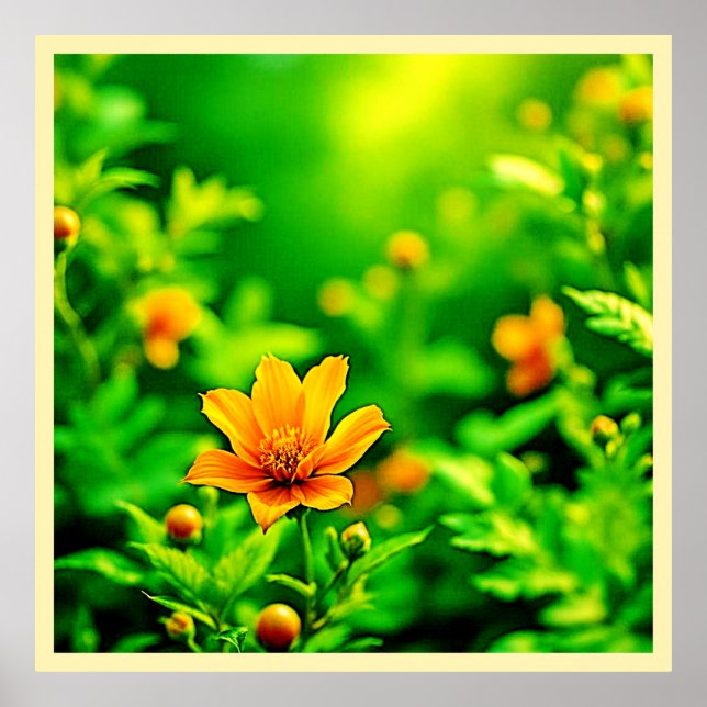 Poster Orange Flower Bokeh Sunny (Frente)