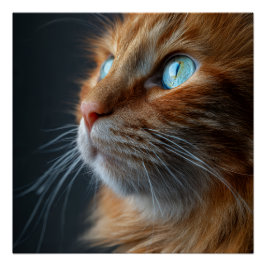 Pôster Orange Ginger Tabby Cat Vintage Style Portrait Wal