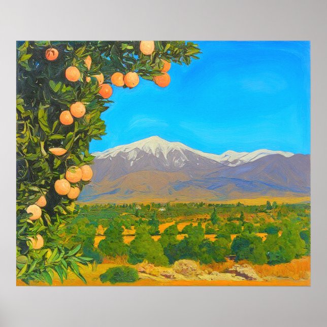 Poster Orange Groves Snow Capped Mount Baldy No início do (Frente)