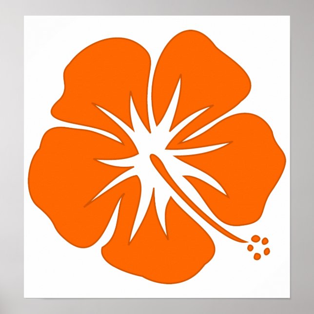 Poster Orange Hibiscus (Frente)