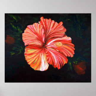 Poster Orange Hibiscus
