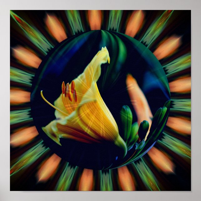 Poster Orange Lily Flower Floral Abstrato Art (Frente)