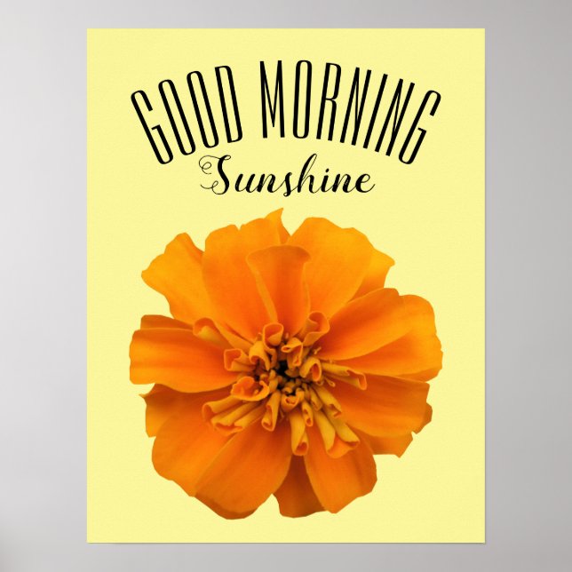 Poster Orange Marigold Good Morning Sunshine (Frente)