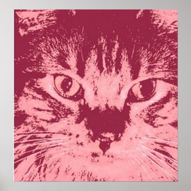 Pôster Orange Tabby Cat (Frente)