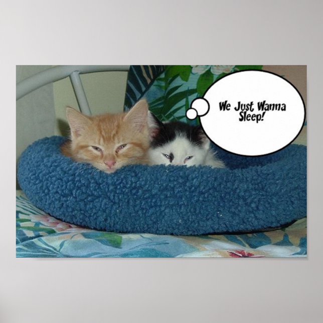 Pôster Orange Tabby Cat Humor (Frente)