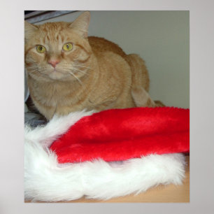 Poster Orange Tabby Christmas