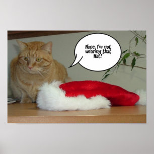 Poster Orange Tabby Natal