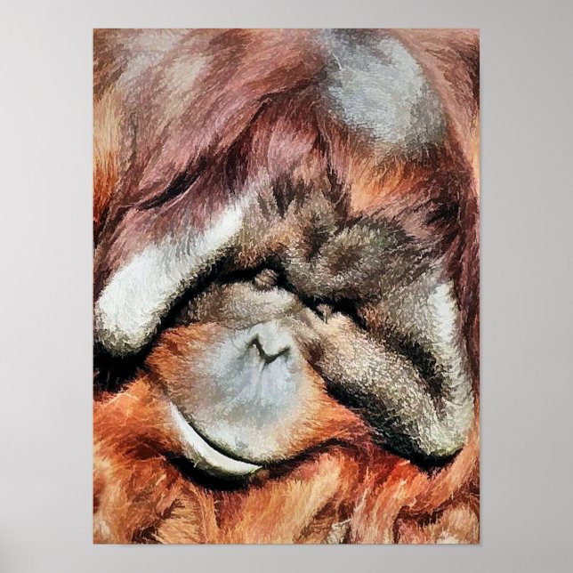 POSTER ORANGUTAN (Frente)