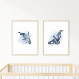 Poster Orca Baleia Assassina Aquarela Azul Branco