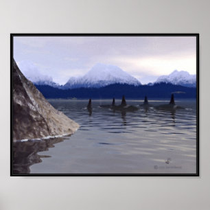 Poster Orca de Água Escura