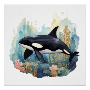 Pôster Orca E Coral