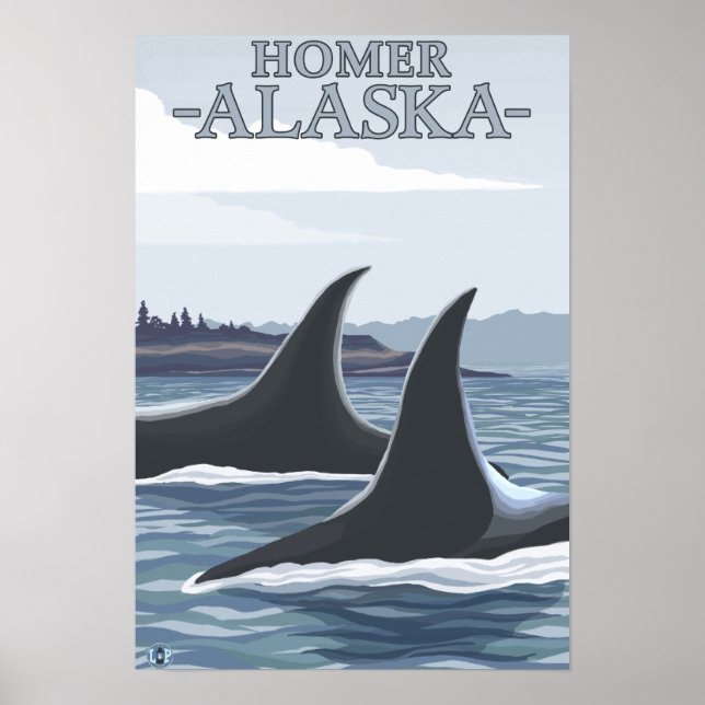 Pôster Orca Whales #1 - Homer, Alaska (Frente)