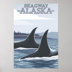 Poster Orca Whales #1 - Skagway, Alasca
