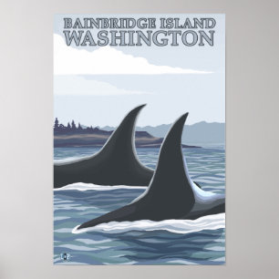 Poster Orca Whales nº 1 - Ilha de Bainbridge, Washington