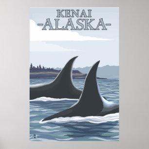 Poster Orca Whales nº 1 - Kenai, Alasca