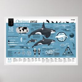 Poster Orcagron - Edição em inglês