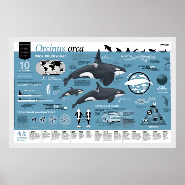 Poster Orcagron - Edição em inglês (Frente)