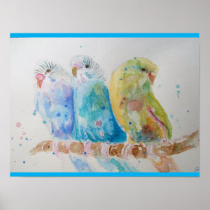 Poster Orçamento Imobilizado de Pássaros Pintados Aqua 
