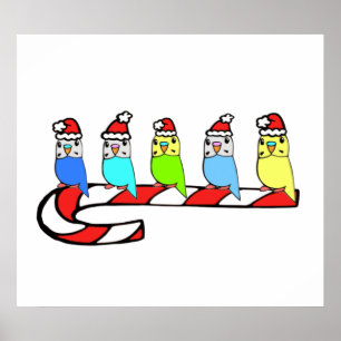 Pôster Orçamentos- Natal