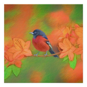 Pôster Orchard Oriole Songbird Pintura Original