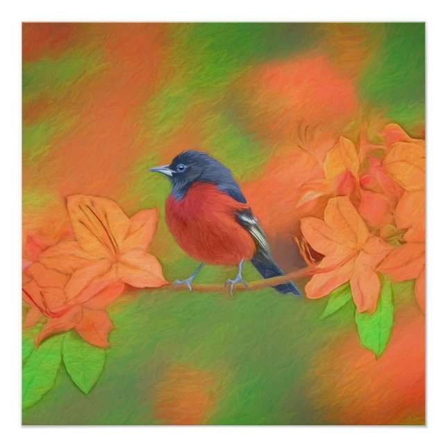 Pôster Orchard Oriole Songbird Pintura Original (Frente)