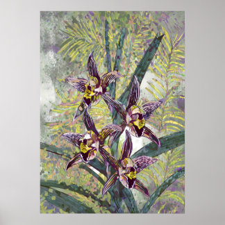 Poster Orchid Art V56