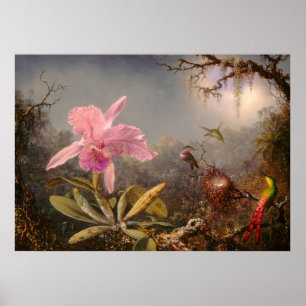 POSTER ORCHID E TRÊS IRMÃOS HUMMINGBIRDS