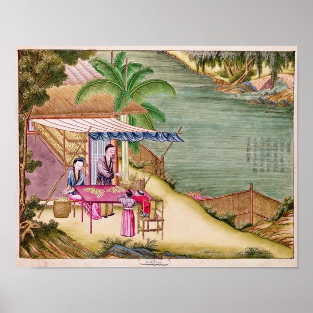 Poster Ordenando os casulos (Frente)