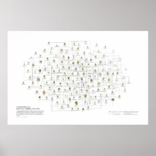 Poster Ordens Naturais de Plantas - Prováveis