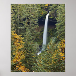 Pôster Oregon, Parque Estadual Silver Falls, North Falls