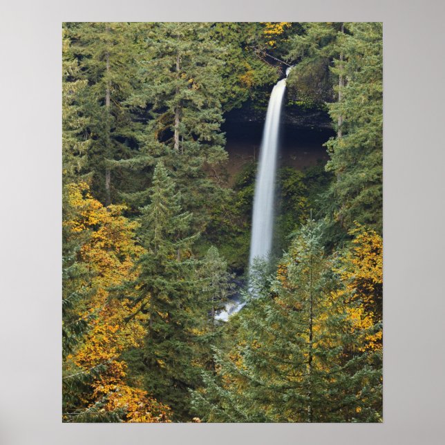 Pôster Oregon, Parque Estadual Silver Falls, North Falls (Frente)