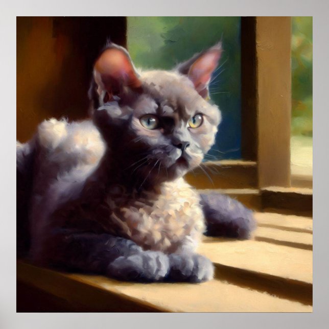 Poster Oregon Rex Cat (Frente)