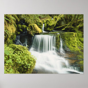 Pôster Oregon, Waterfall no Willamette