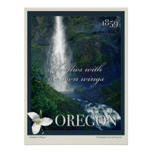 Pôster Oregon Waterfall Poster