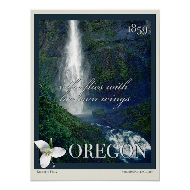 Pôster Oregon Waterfall Poster (Frente)