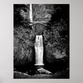 Poster Oregon Waterfall (Preto e Branco)